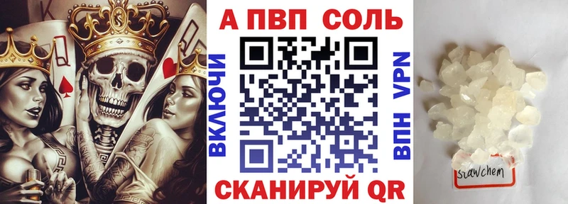 Альфа ПВП СК  Вельск 