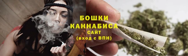 амф Бородино