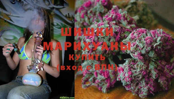 дурь Богданович