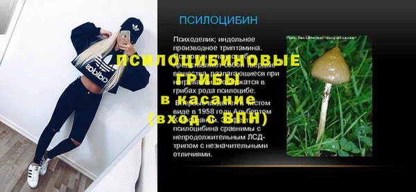 MDMA Premium VHQ Богородицк
