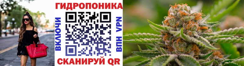 Канабис Amnesia  Вельск 